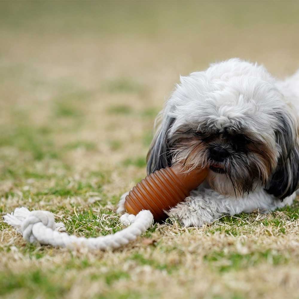 Retorn - Rub Bouncy tyggelegetøj med reb - Dapple