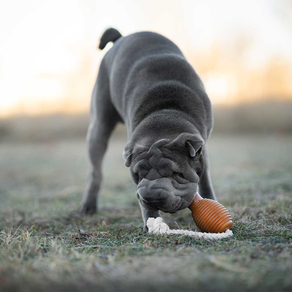 Retorn - Rub Bouncy tyggelegetøj med reb - Dapple