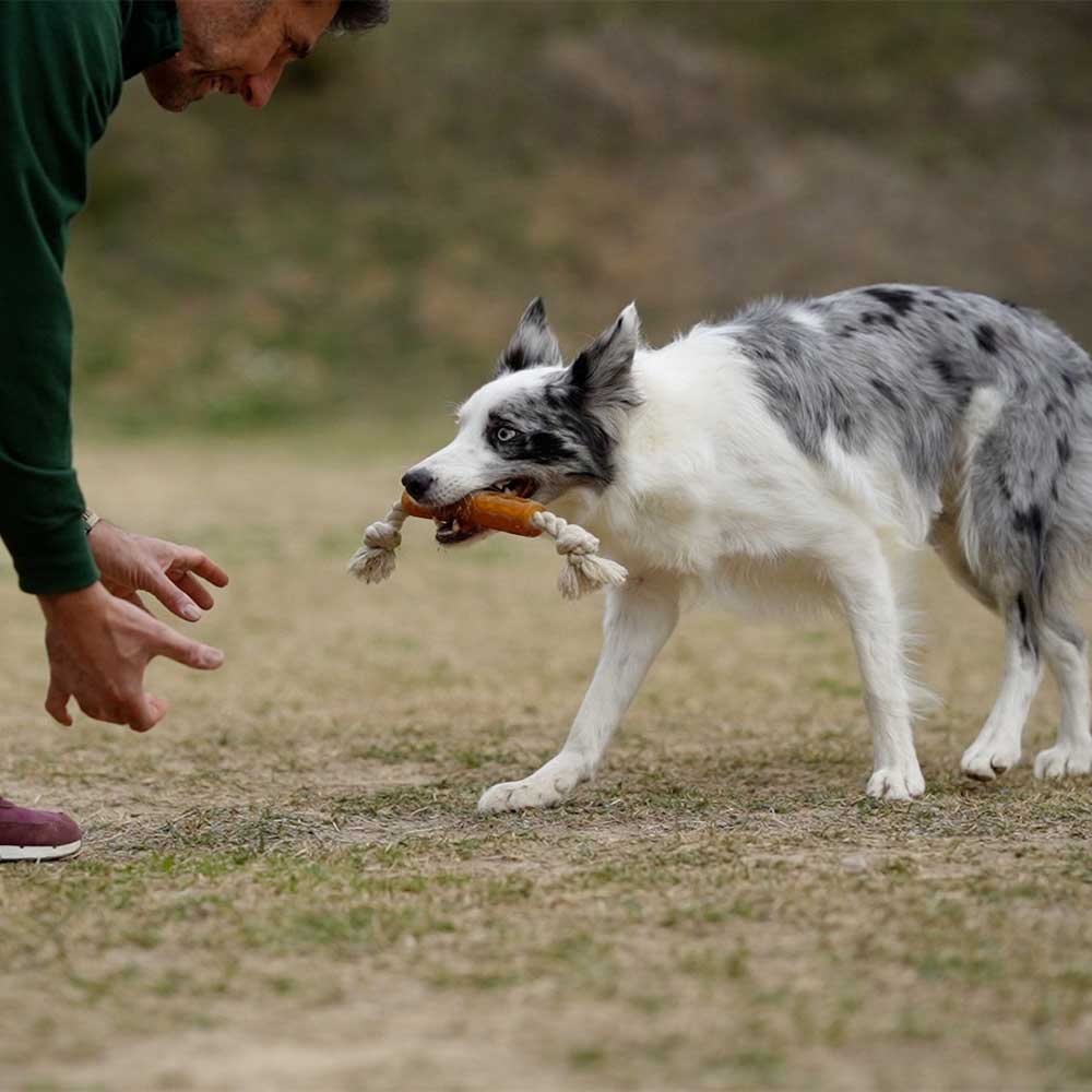 Retorn - Rub Flosser tyggelegetøj med reb - Dapple