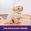 Urine Off Dog & Puppy Formula - Urin- og Lugtfjerner
